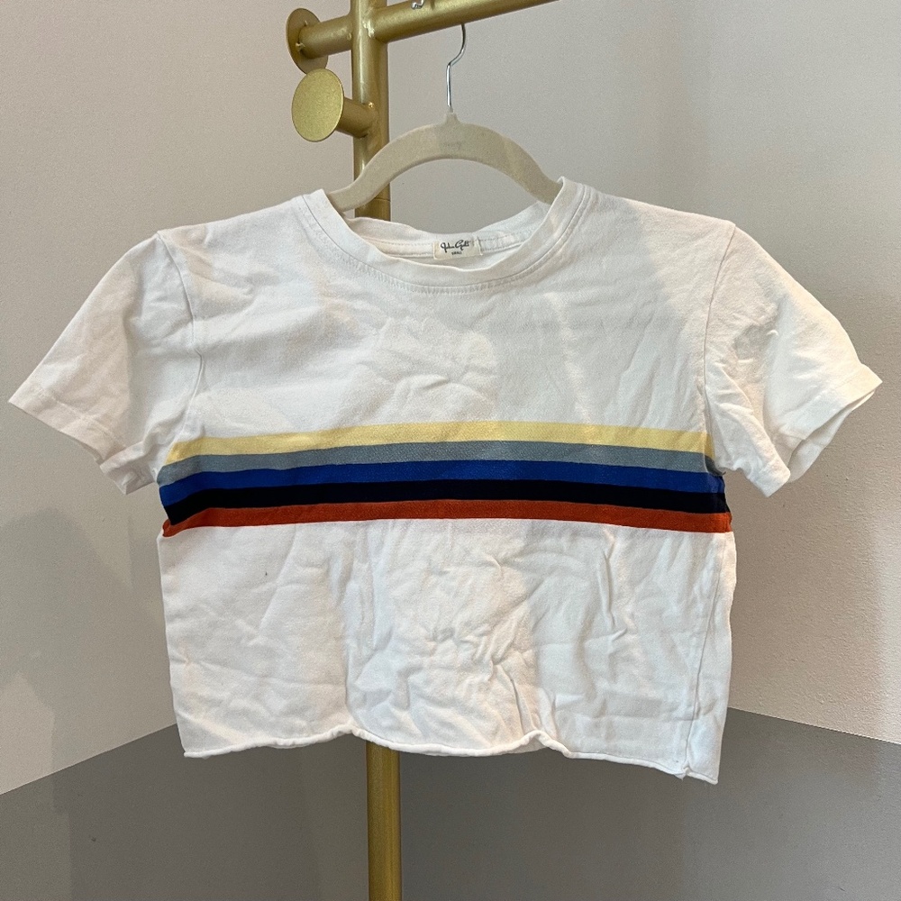 Brandy Melville John Galt Striped Cropped Tee